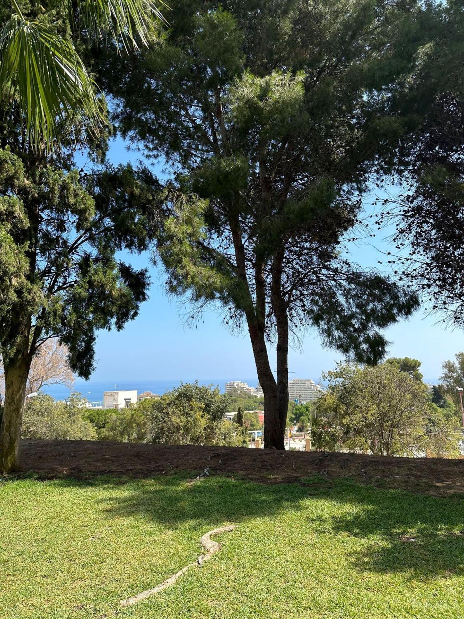 マラガBenalmadena Gamonalアパートメント エクステリア 写真