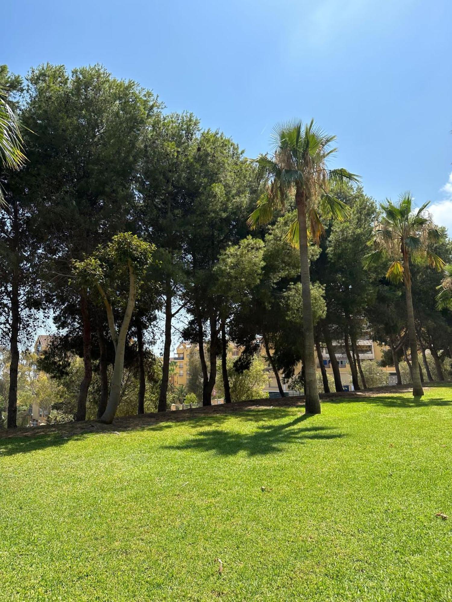 マラガBenalmadena Gamonalアパートメント エクステリア 写真